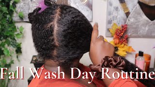 Moisturizing Fall Wash Day Routine for Fine, Low Porosity Hair |  Deep Condition + Steam Treatment