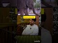 animal kadha viswasam untadhi