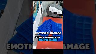 Behind The Scenes What It Really Takes To Launch A New Soap Mold