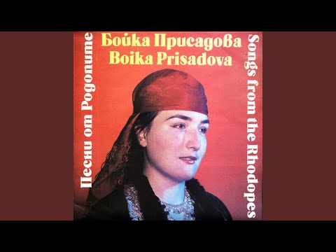 Пиленце постро славейче 