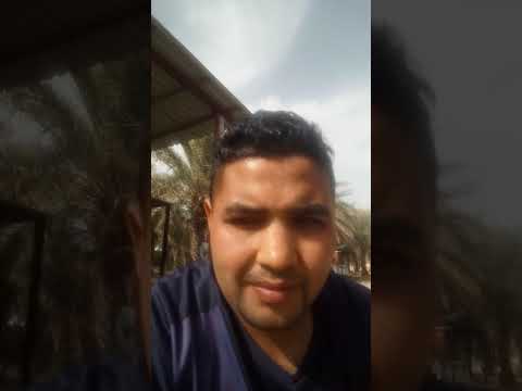 حل مشكلة خساره هيئه النقل والمواصلات