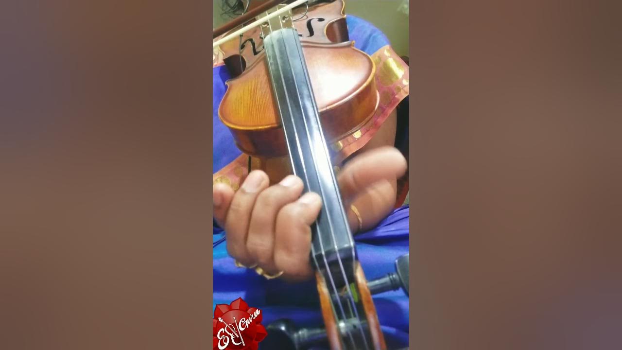 Porno video, yapon ayol ichkariga singdirilgan