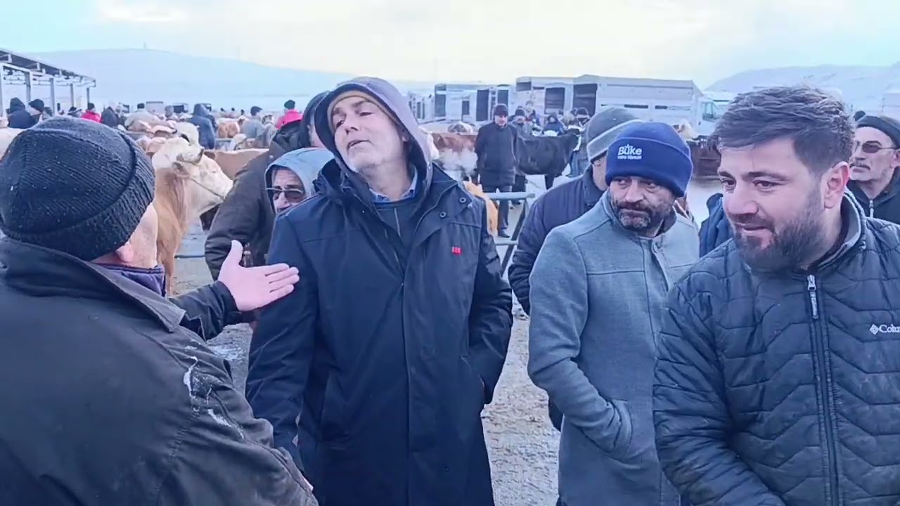 SORGUN HAYVAN PAZARI 26 ŞUBAT.!!! 2.bölüm; Pazar boştu .. Alım satım vardı 