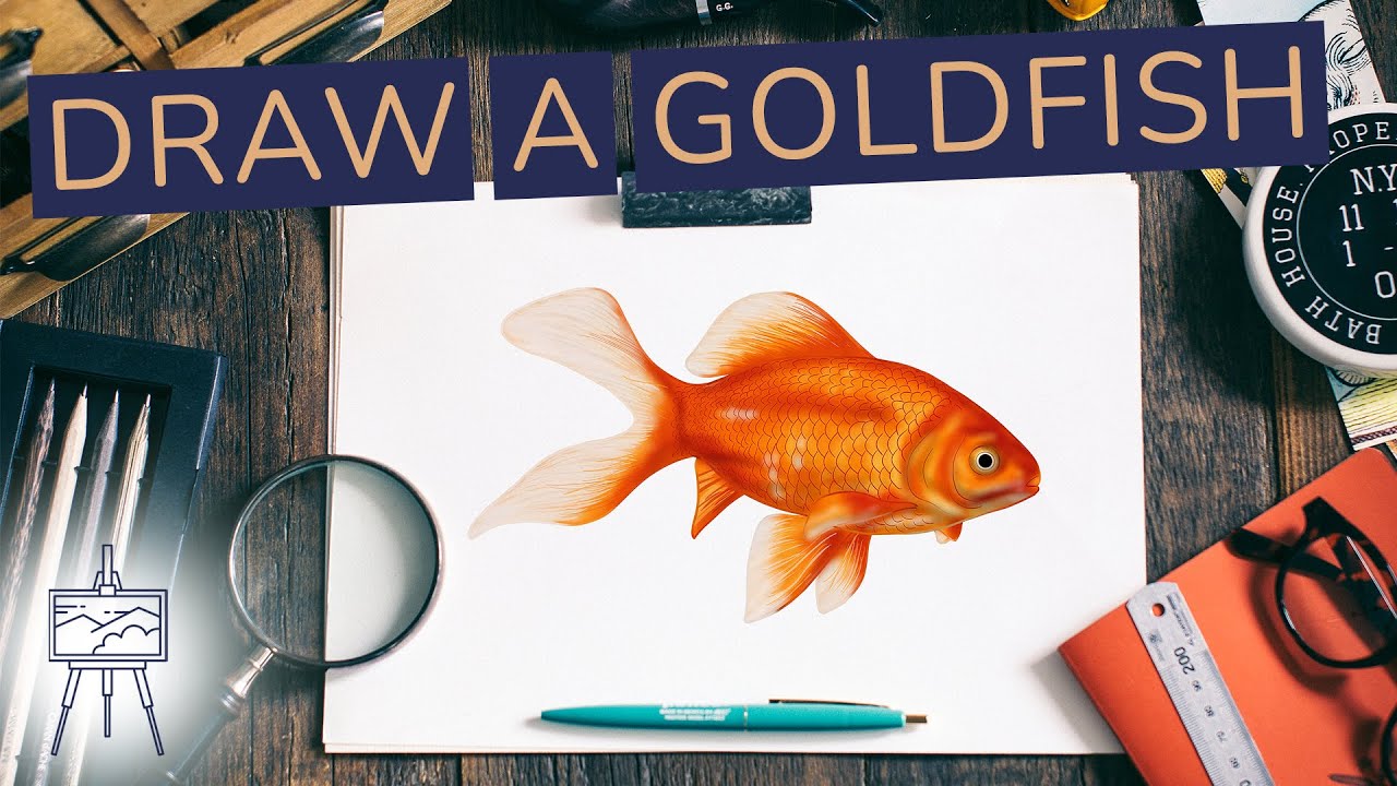 How to Draw a Goldfish – The Best Step-by-Step Goldfish Drawing ...