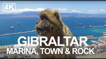 Gibraltar Highlights Walk - The Rock, The Monkeys, Irish Town & Ocean Village