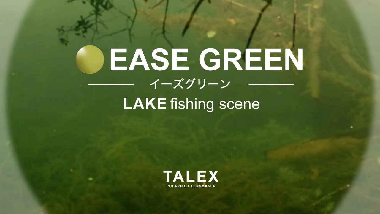 Talexイーズグリーンの見え方 湖編 Youtube