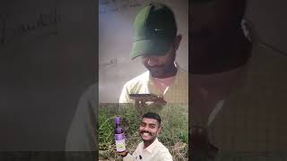 आमलकी स्वरस के अनोखे फायदें || Part 1 👑 #AyurvedicProduct #AyurvedaIndia #amalkiswars #amla