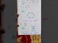 Kvs class 5 knowledge based model questions part 2