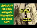 මෙක්සිකෝව සැබෑ පිටසක්වළ සිරුරු වල දර්ශ​න ලෝකයට මේ දැන් නිදහස් කළා! ඒ ගැන ලෝකෙම කළඹපු විස්තර මෙන්න!