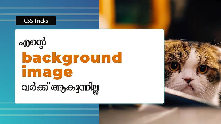 CSS Background Image Not Working or Loading | Web Diary | CSS Malayalam