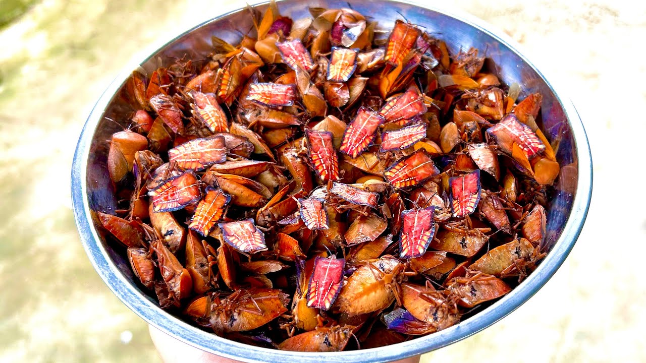 ĐẶC SẢN ĐÊM ( Bọ Xít - Rắn) - Bùi Văn Trọng