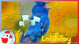 Animals Puzzle! Bird Jigsaw  Puzzle for kids screenshot 2