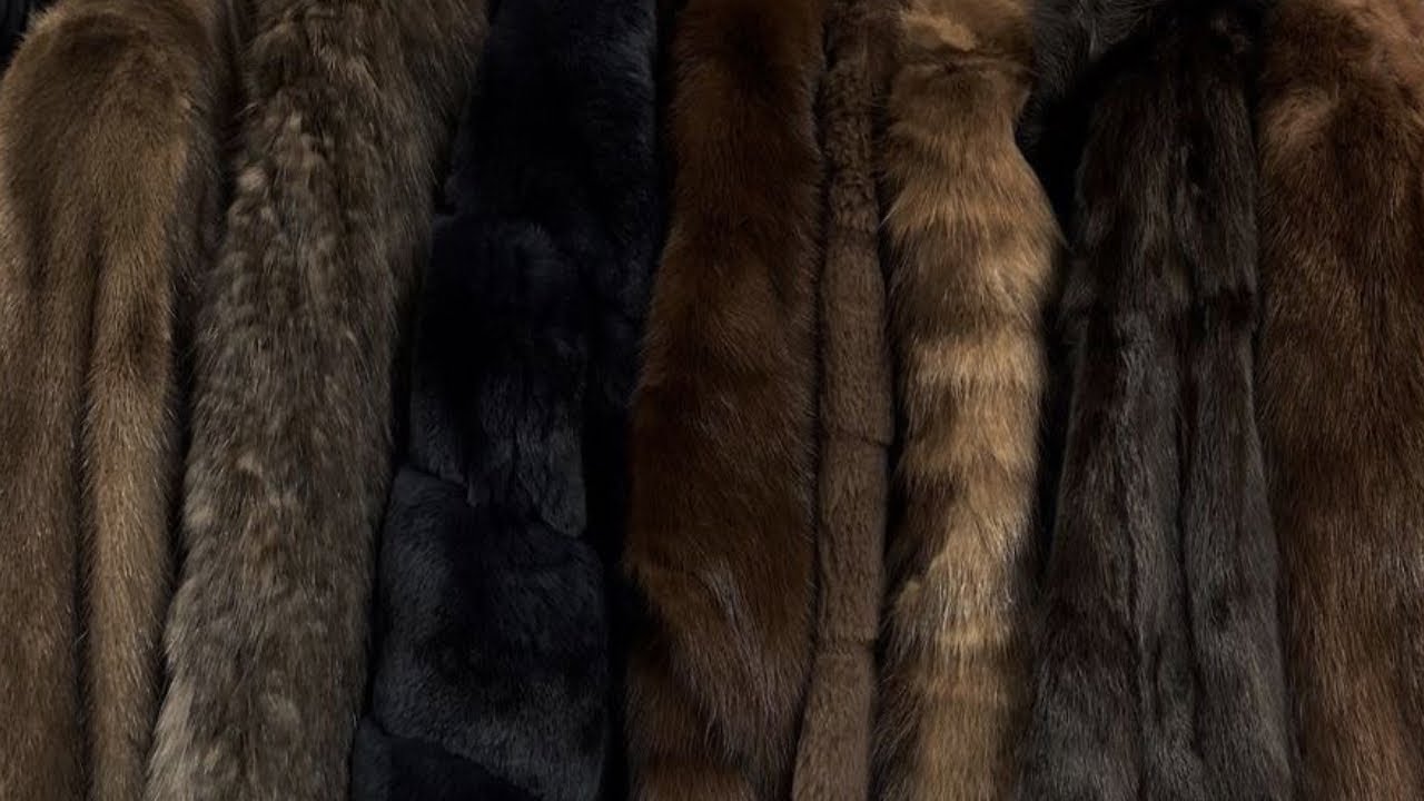 epigenetic reset ➳ ancestral trauma dissolution