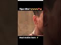 Baaghi 3 Real Action Shooting Tiger Shroff Mrtiger071 