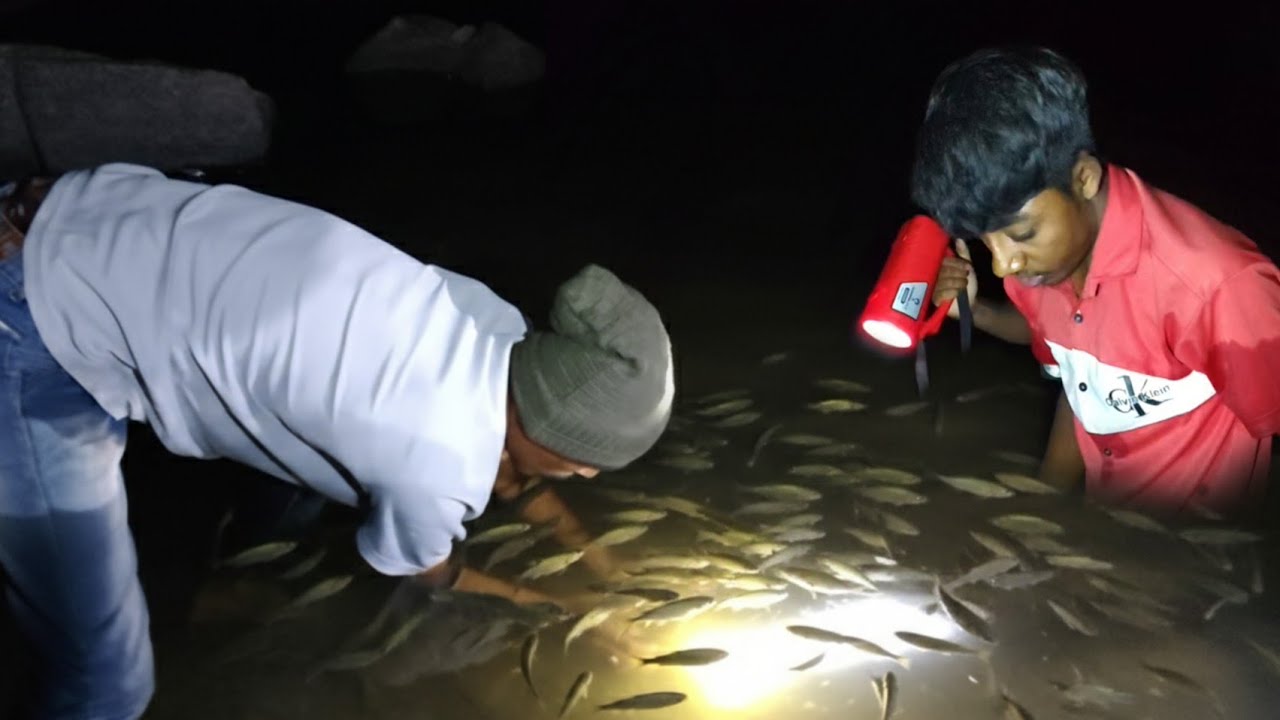 नदिवरती पकडले हाताने चाफुन मासे🎏 आणि खेकडे आणि बनवली भन्नाट🍲 रेसिपी, Fish Catching Technique recipe 