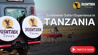 Sundowner Safari Experience In Tanzania Magical Sunset In The Wild Rushtrek Tours