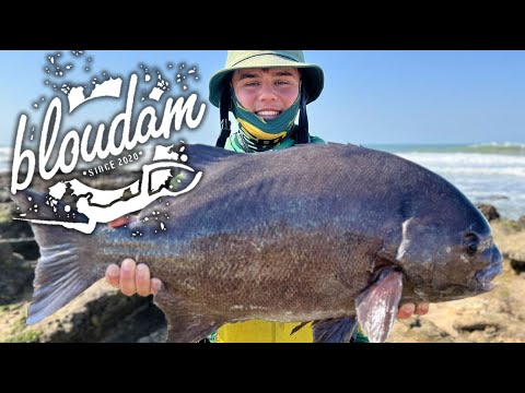 Garden Route Fishing News - PENDING SA RECORD 70cm GALJOEN