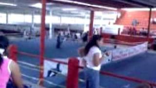 Obediencia, Belleza Y Agilidad Canina Evento Veracruz