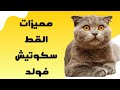 مميزات قط سكوتيش فولد نوع القط الأسكتلندي مطوي الأذن Scotch Fold Cat مميزات قط سكوتيش فولد نوع القط الأسكتلندي مطوي الأذن Scotch Fold Cat