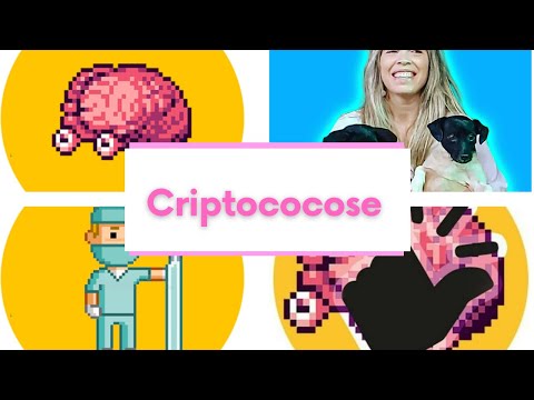 Vídeo: Infecção Fúngica Em Cães (criptococose)