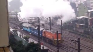 105/01/13 蒸汽火車 CT273