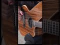 November Rain - Guns N’ Roses - First Solo on Harp Guitar!