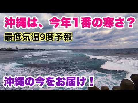 【沖縄の今をお届け】今年一番の寒さ?最低気温9度の沖縄「沖縄旅行情報」