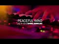 Peaceful wind live in 432hz  daniel kowalski