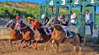 Carreras de Caballos en Nogales 31 de Mayo 2026