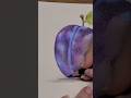 realistic Plum drawing, brutfuner #art #colorpencil #drawing #relaxingart #realisticdrawing #sketch