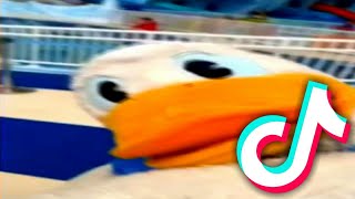 Donald Ducc tiktok compilation | Best Donald Ducc tiktok | Donald Duck tiktok by Saturn 7,559 views 2 years ago 10 minutes, 1 second