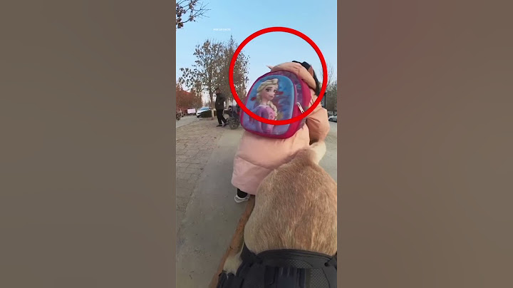 !!unbelievable dog pick up girl from school 🦮🦮❤️❤️!!