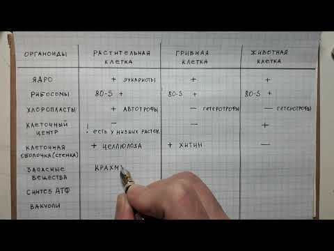 ЕГЭ/ОГЭ биология Особенности строения клеток разных царств