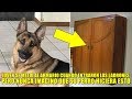 Se escondió en el armario cuando los ladrones entraron a su casa, pero su perro hizo algo inesperado