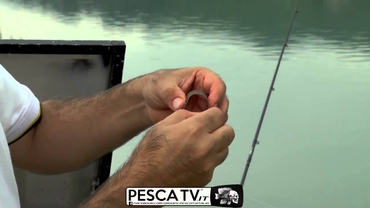Montature Drennan Per Carpa Con Amo Barbless - 8 Pezzi