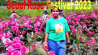 Seoul Rose Festival | Seoul Rose Festival 2023 in Korea 꽃길만 걷자 2023년 서울 장미 축제