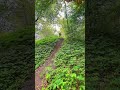 Downhill #mtb #bikelife #downhill
