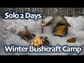 SOLO Two Days WINTER BUSHCRAFT Camp - Shelter in Snowfall - Lavvu Poncho - Spoon Carving