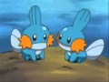 Mudkip 10 hours