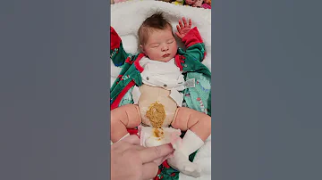 Do Reborn Babies Poop 