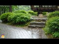 산책로에 내리는 힐링 빗소리로 빠르게 잠들어보세요 | 주말 정신 회복을 위한 자연 수면 보조제