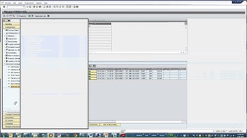 SAP BW 7.3 SP9 with Sybase IQ NLS Demo