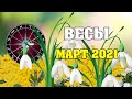 ♎  ВЕСЫ - гороскоп на март месяц 2021 ✅ астропрогноз от Аннели Саволайнен