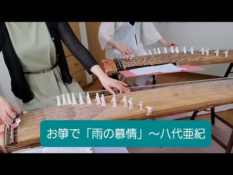 お箏で「雨の慕情」～八代亜紀