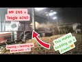Massey Ferguson 265 + Teagle 4040 bedding up straw pens - So much easier with this machine!