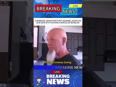 A MERIDIAN, IDAHO MAN'S PET SQUIRREL SAVED HISGUN SAFE BYATTACKING A WOULD BE BURGLAR.#news