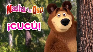 Masha y el Oso‍♀ ¡Cucú!  Colección de dibujos animados  Masha and the Bear