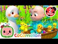 JJ & The Five Little Ducks 🦆 CoComelon Nursery Rhymes and Kids Songs | 2 HOURS | After School Club