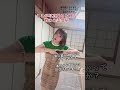 TVerにて「家、ついて行ってイイですか？」配信中です！ #shorts