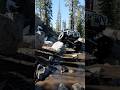 Rubicon Trail March 2026 #4x4 #offroad #jeep #rubicon